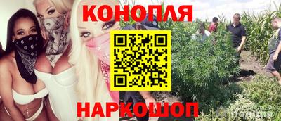 a pvp Можайск